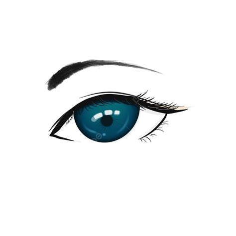 Long Eyelashes Png Transparent Long Blue Eyelashes Big Black Eyes Eye