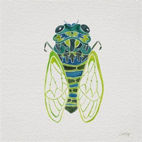 Watercolor CatCoq Cicada Art Insect Art Bug Art