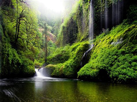 Spring Landscape Waterfall In Oregon Usa Nature River Water Trees