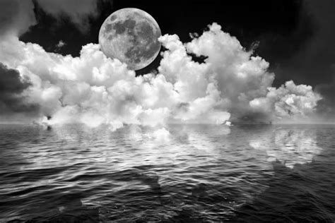 Royalty Free Black And White Moon Pictures Images And Stock Photos
