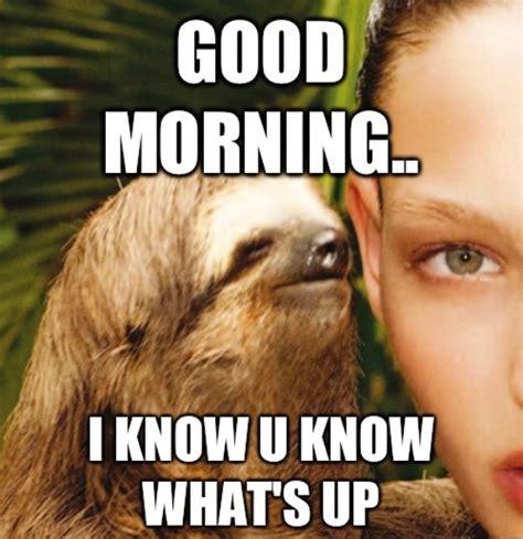 75 Fantastic Early Morning Memes Funny Memes