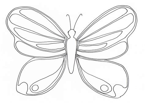 Magnificent Butterfly Insects Coloring Pages For Kids To Print And Color