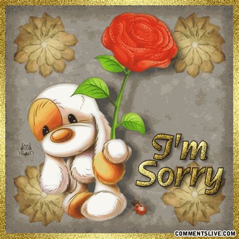 Cute Sorry  By Phillipsm28 Photobucket