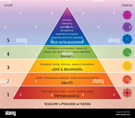 La Piramide De Maslow Piramide De Maslow Jerarquia De Necesidades