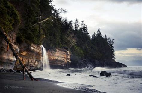 On Vancouver Island Mystic Beach By Wooferduff Beautiful Forest