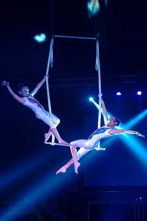 Web Rope Trapeze Trix Circus Safety Is Our Business