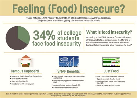 Food Insecurity Infographic Allison Muzzy