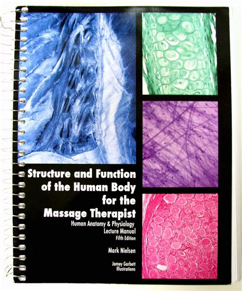 Structure And Function Of The Human Body For The Massage Therapist Lecture Manual