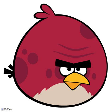 Red Bird Angry Birds Red Birds Birds Angry Birds