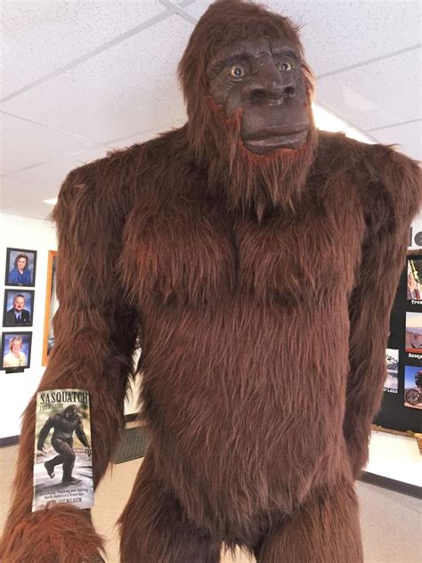 ‘bigfoot Spotted On Washington States Sherman Pass Webcam Sparking