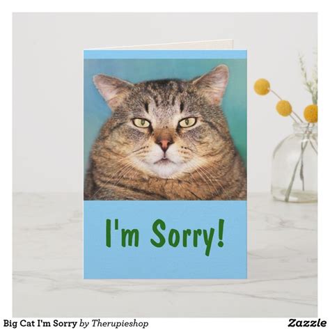 Big Cat Im Sorry Card Im Sorry Cards Sorry Cards