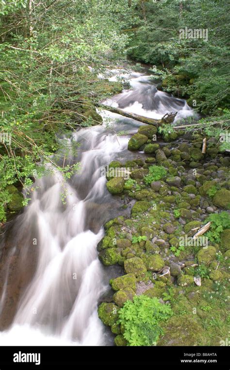 Water Stream With Green Moss Stock Photo Alamy