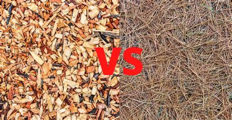 A Guide To Mulch Versus Pine Straw From Start To Finish