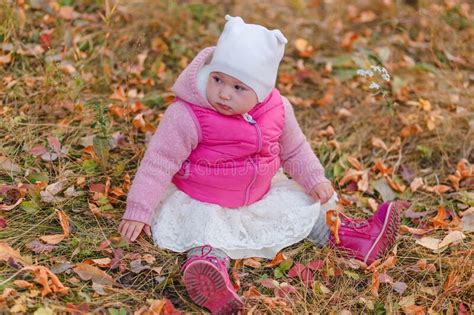 One Year Old Girl In A Pink Vest Sits On Yellow Leaves In Autumn Stock