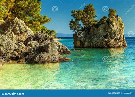 Felsiges Ufer Mit Haarscharfem Meerwasser Brela Dalmatien Kroatien