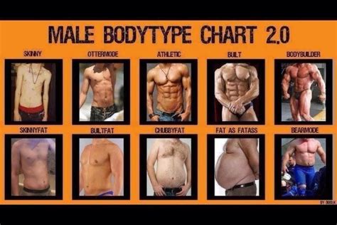 Men Body Type Chart