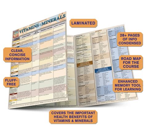 Quickstudy Vitamins Minerals Laminated Reference Guide