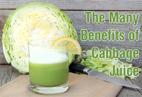 cabbage juice benefits many benefit healthy drinks drinking