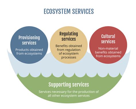 Ecosystem Services Bonus Basmati