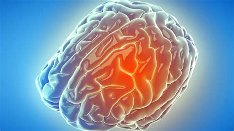 The Inflammatory Pathway To Brain Damage