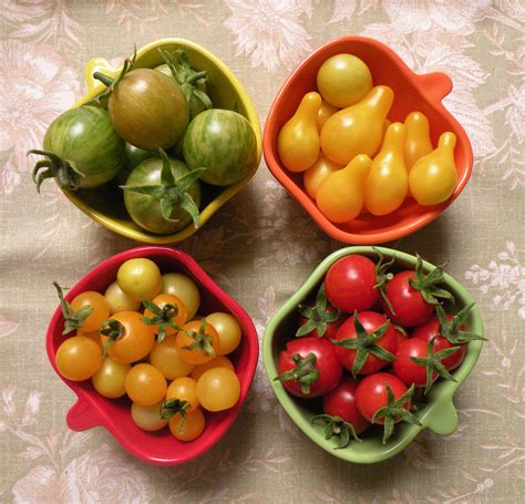 If you, like me, are a huge lover of tomatoes, you their fruit ripens quickly, and as little as two months after planting, you will be picking those delicious ripe tomatoes and adding them to your. delicious tomatoes! | Tomato, Delicious, Coolpix