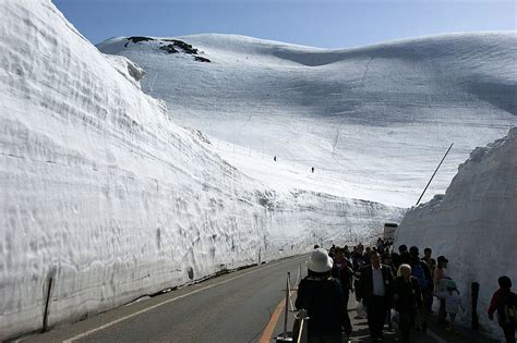 Yukino ōtani Le Mur De Neige De La Route Tateyama Kurobe Alpine Au J