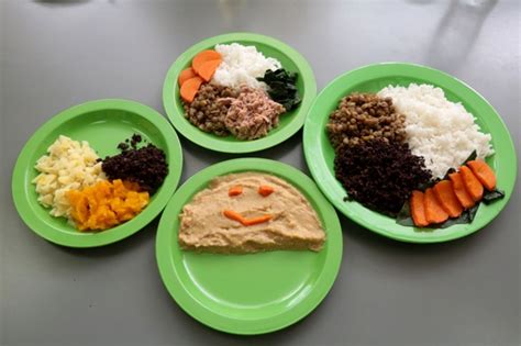 Cardápio Para Anemia Infantil