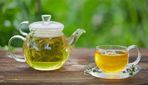8 Best Herbal Teas For Some Amazing Health Benefits Sambad English