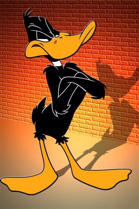 Daffy Duck Desenhos Animados Clássicos Imagens De Desenhos Animados
