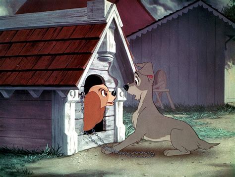 Watch Lady And The Tramp 1955 Full Movie Online Or
