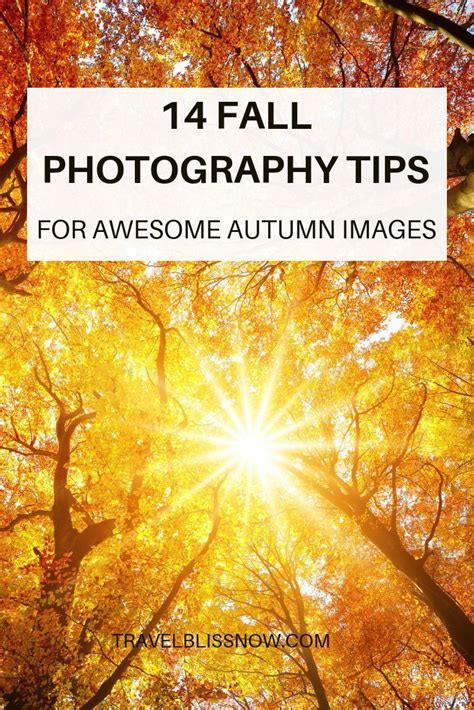 Re Pinned By Ontheroadkiwis 14 Photography Tips For Awesome Autumn