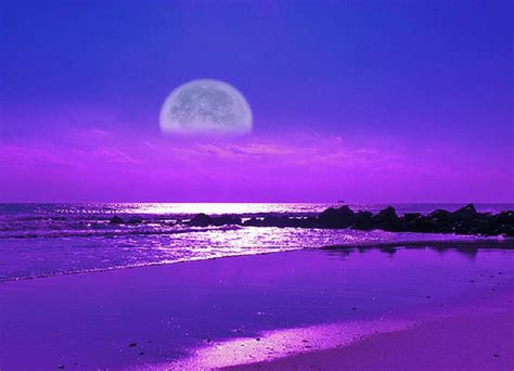 1179x2556px 1080p Free Download Purple Night Blue Purple Haze