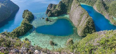 Misool Papua Scenic Wonders Amazing Dive Hello Papua