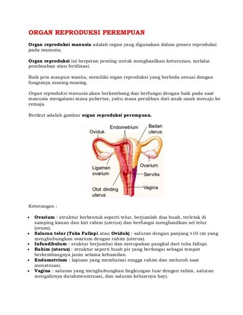 Organ Reproduksi Wanita Dan Oogenesis