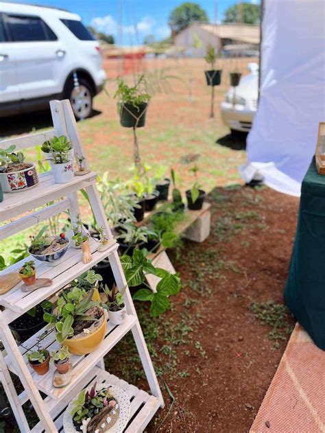 Guide to North Shore Farmers Markets on Oahu (2023)