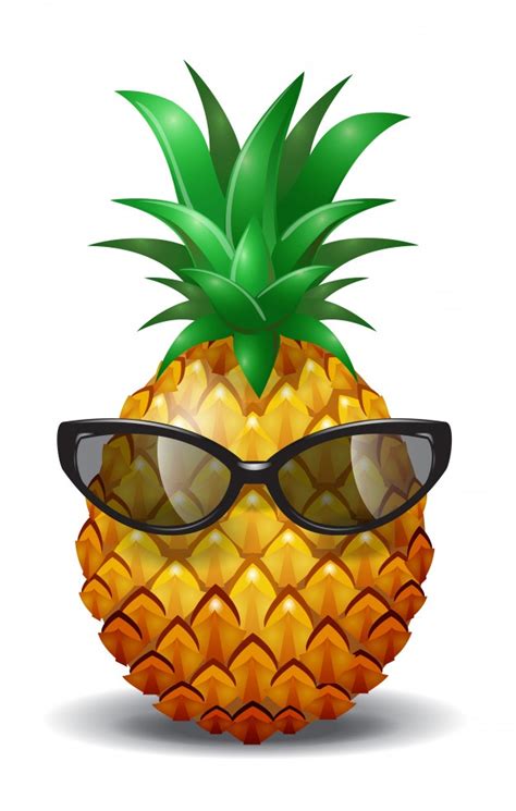 pineapple vectors   psd files