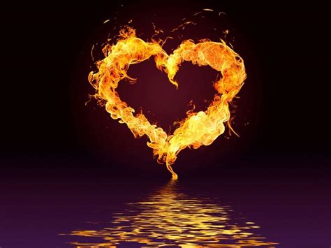 Amor é Fogo Que Arde