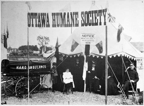 Ottawa Humane Society: A History to be Proud of…