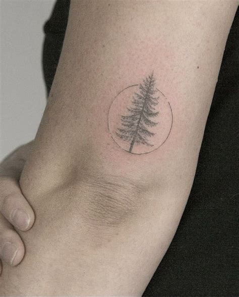 Tiny Tattoo Idea Dainty Pine Tree Tattoo Your
