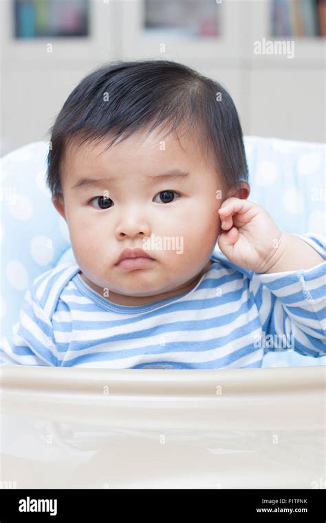 Cute Chinese Baby Boy Sitting In Baby Chair Stock Photo Alamy