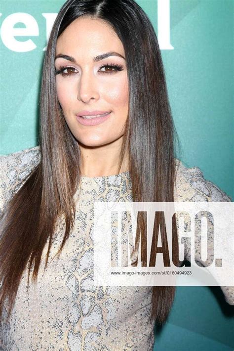 Brie Bella At The Nbcuniversal Cable Tca Press Day 2 Winter 2016