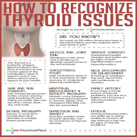 Thyroid Gland Thyroid Diet Thyroid Issues Thyroid Cancer Thyroid