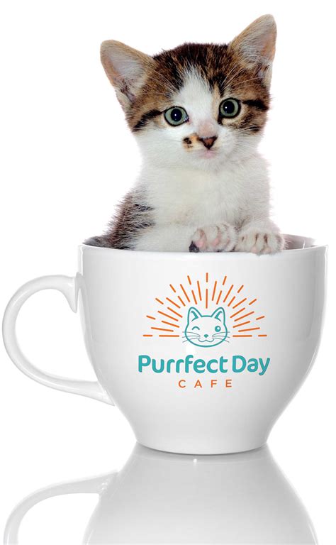 Purrfect Day Cafe