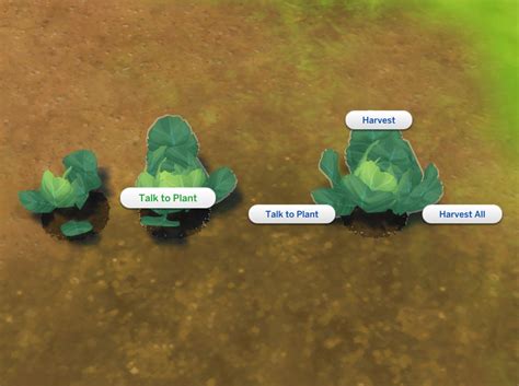 Mod The Sims Harvestable Lettuce