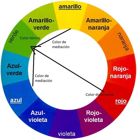 El Círculo Cromático La Teoría Del Color Circulo Cromatico Teoria