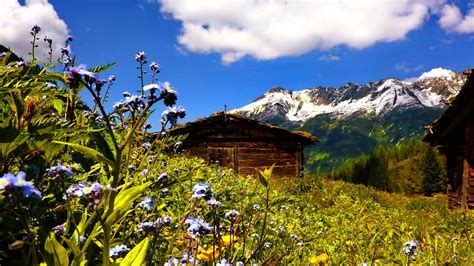 Hut Cottage Clouds Mountain Wildflowers Slope Peaks Nature