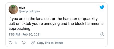 Joining The Hamster Cult Is The New Hot Social Media Trend Heres