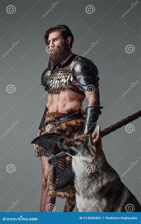 Brown Haired Naked Viking Wearing Armoured Clothing Poses With A Wolf