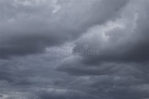 Rainy Sky Stock Image Image Of Pure Tree Dramatic 11227449