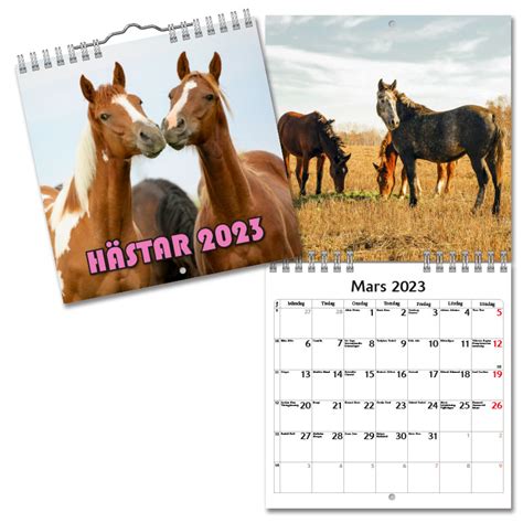 Väggkalender Hästar Mini 2023 Köp Almanacka Online Specialbutik För